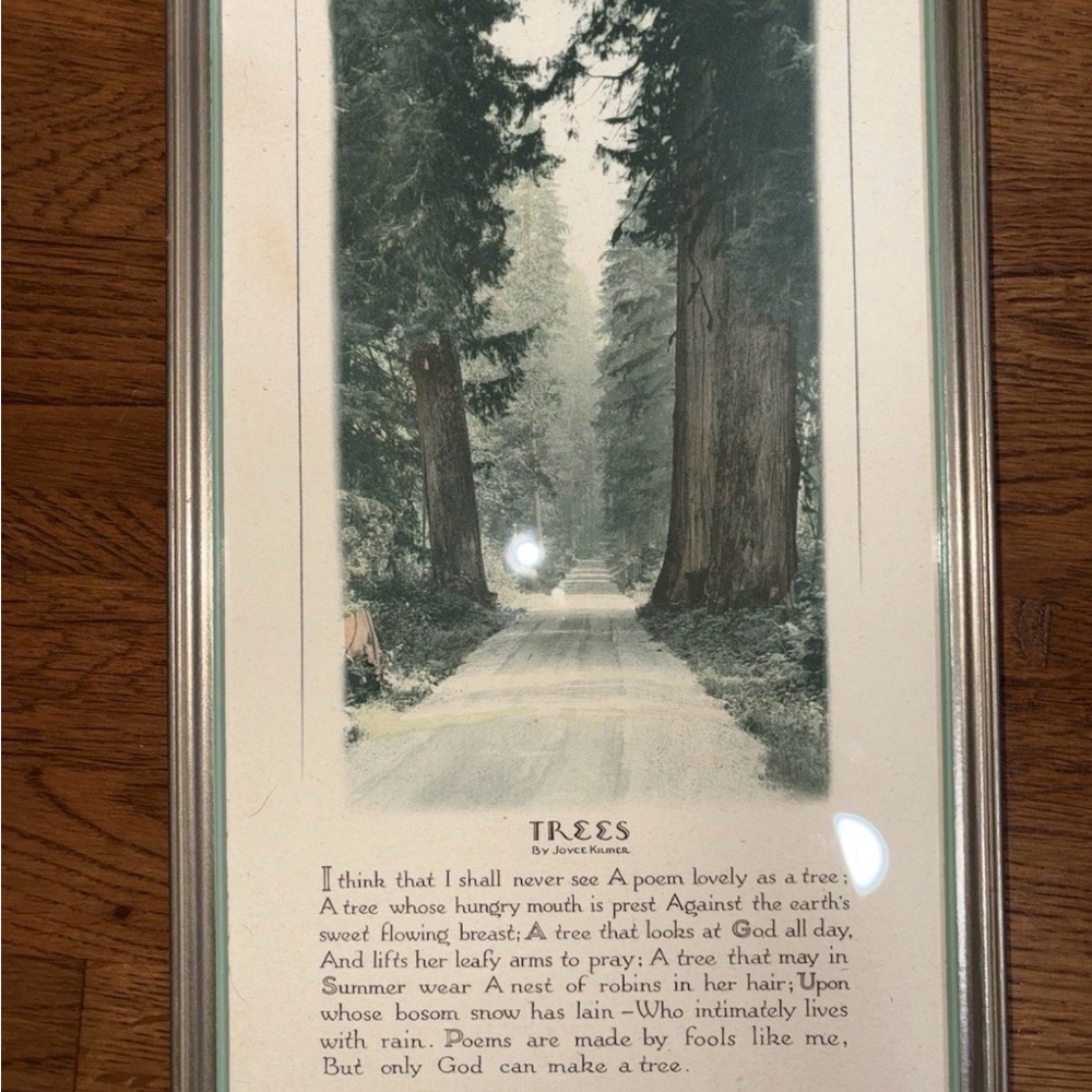 Vintage “Trees” Poem By Joyce Kilmer Framed Buzza Co Print Two Tone Frame - Picture 4 of 8